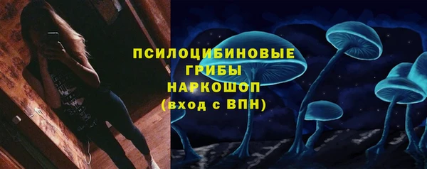 дживик Дмитровск