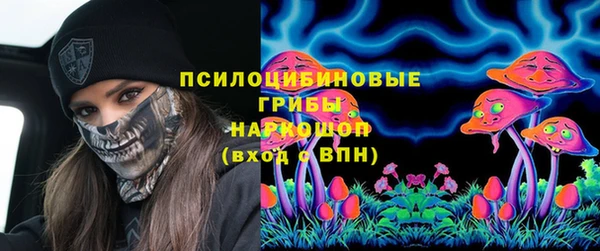 винт Дмитров
