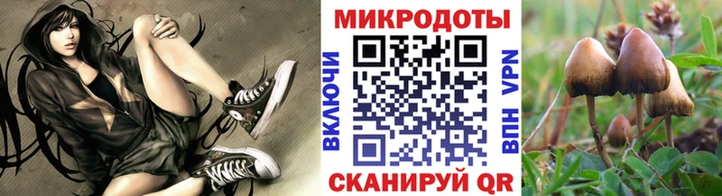 Псилоцибиновые грибы GOLDEN TEACHER  Купить  Вяземский 