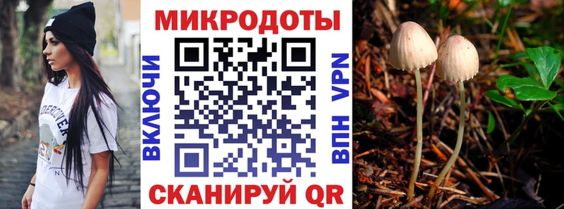 Псилоцибиновые грибы Cubensis Вяземский